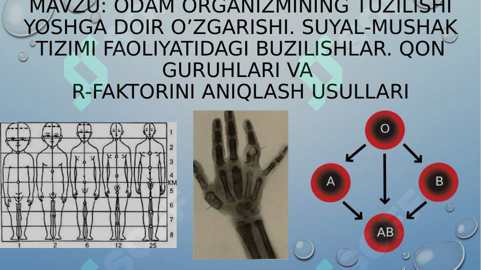 BDSM tasmali porno fotosuratlar