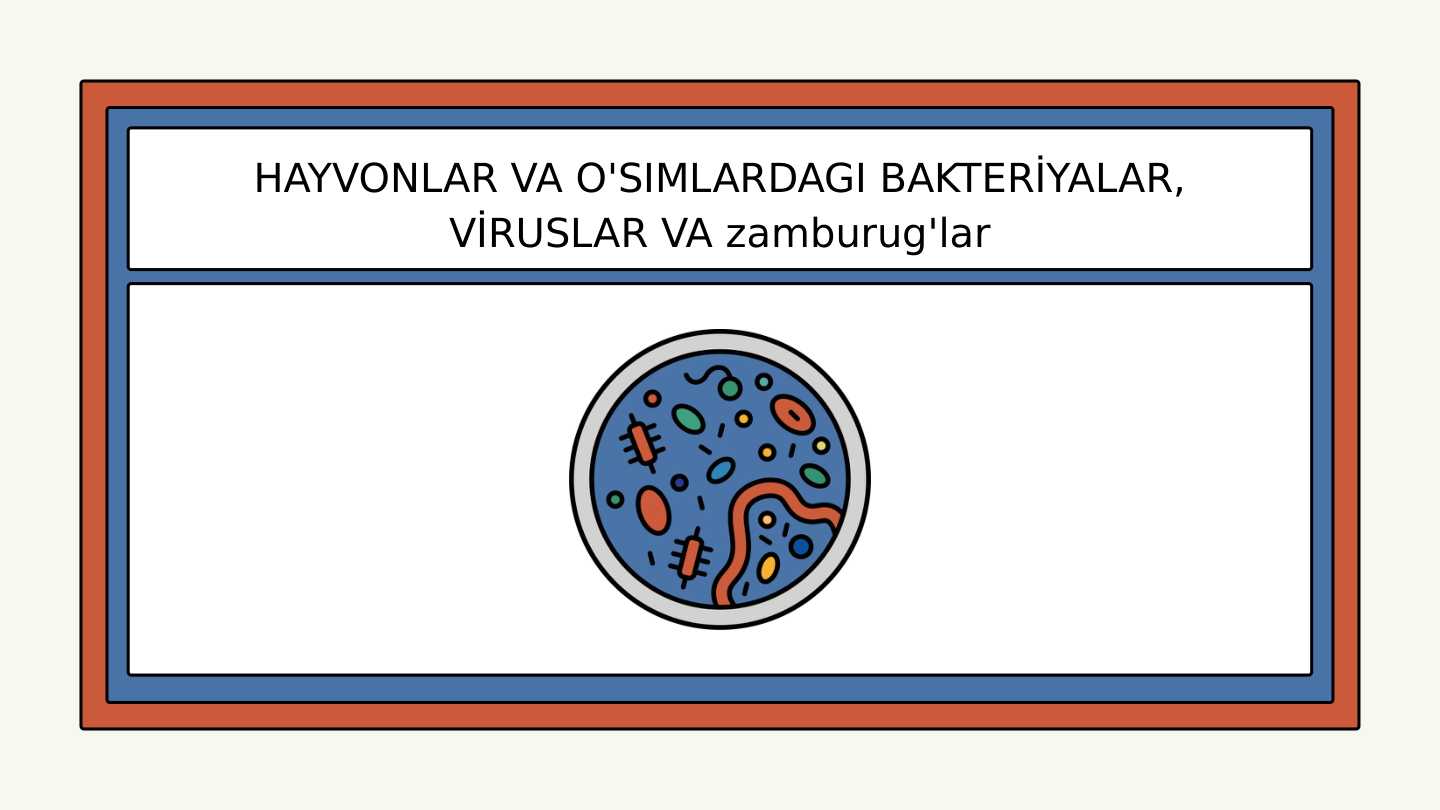 Erkakning anusidagi jinsiy olatni