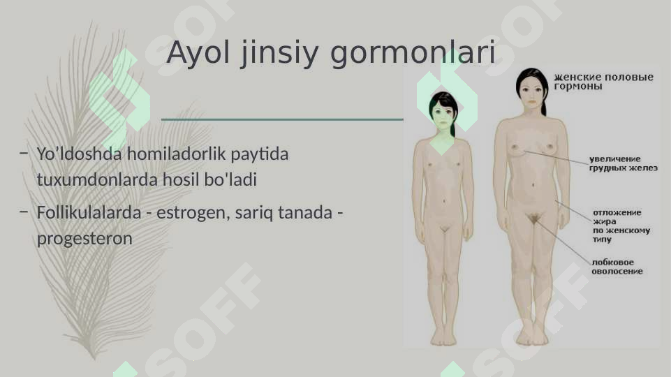 Katta eshakli ikki lezbiyen Jill Kelly porno rasmlar