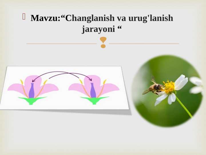 Porno komiks: Oq oqituvchi fohisha Azer arman ayolni sikadi