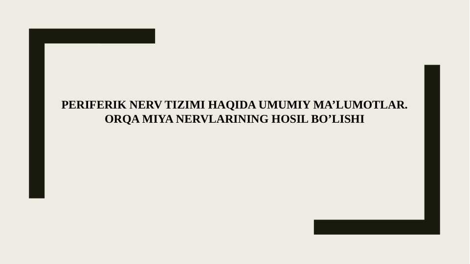 Periferik nerv tizimi haqida umumiy ma’lumotlar. Orqa miya nervlarining hosil bo‘lishi
