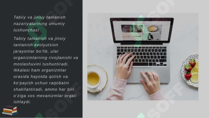 Arkinal jinsiy aloqa Rus talaba tashabbusi porno