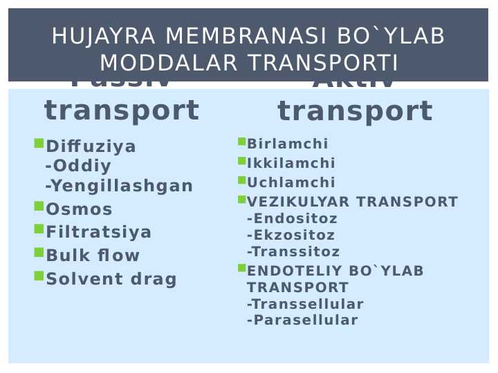 Amerika kolleji seks partiyasi porno