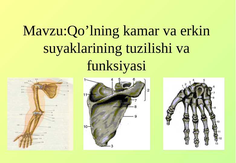 Rus filmlar porno remeyk