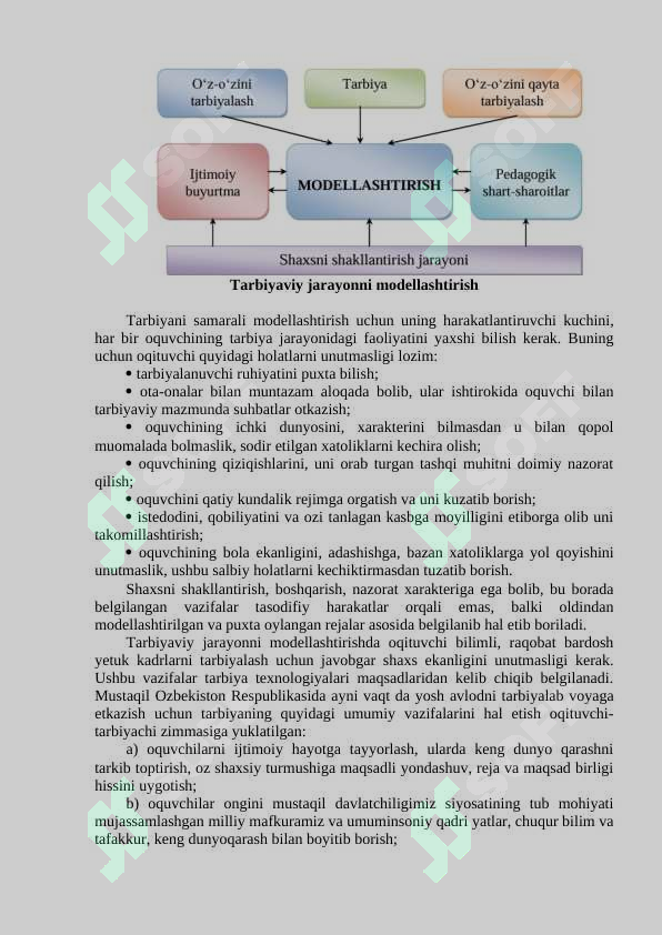 Birgalikda bolgan hikoya Kuni oz mushuki bilan yuziga otirdi (shaxsiy video)