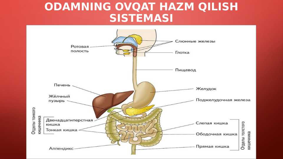 Gozal jingalak ayollar porno onlayn
