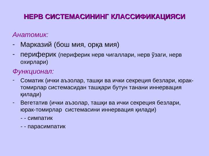 НЕРВ СИСТЕМАСИНИНГ КЛАССИФИКАЦИЯСИ 47 betli