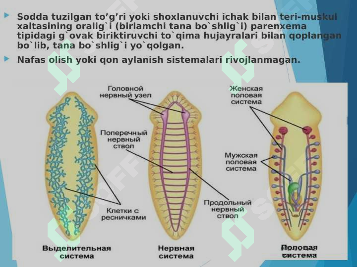 Porno onlayn multfilmlar haqida hamma narsa
