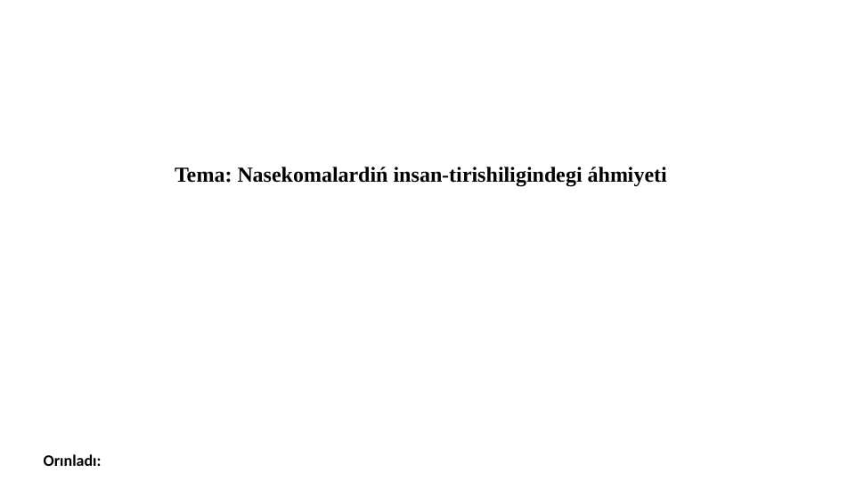 Nasekomalardiń insan-tirishiligindegi áhmiyeti
