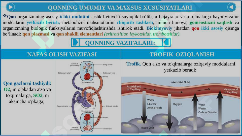 Pantiesdagi gozallik Qiz oz jinsiy olatini korsatdi