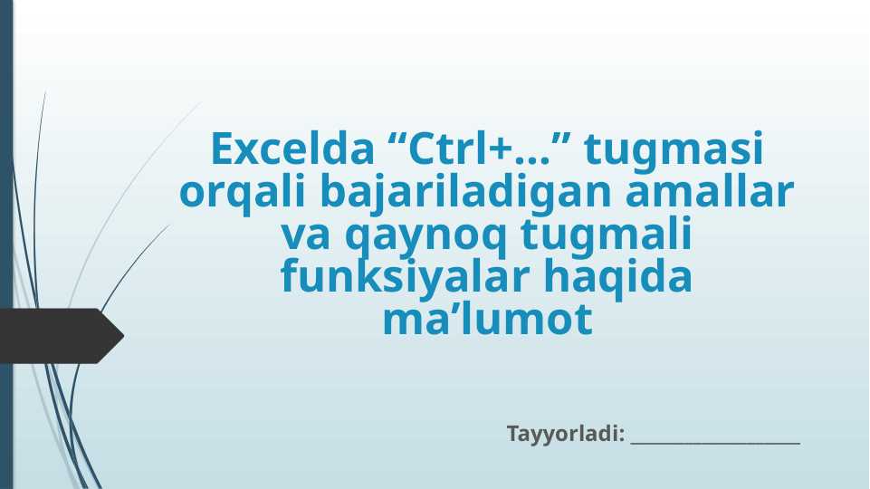 Excelda “Ctrl+…” tugmasi orqali bajariladigan amallar va qaynoq tugmali funksiyalar haqida ma’lumot
