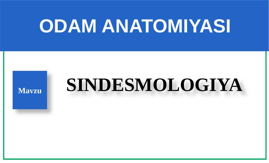 SINDESMOLOGIYA