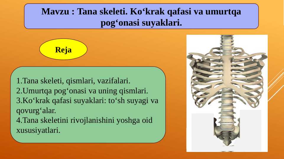 Qizlarning yalangoch mushuklari fotosuratlari Toshak yubka valansi