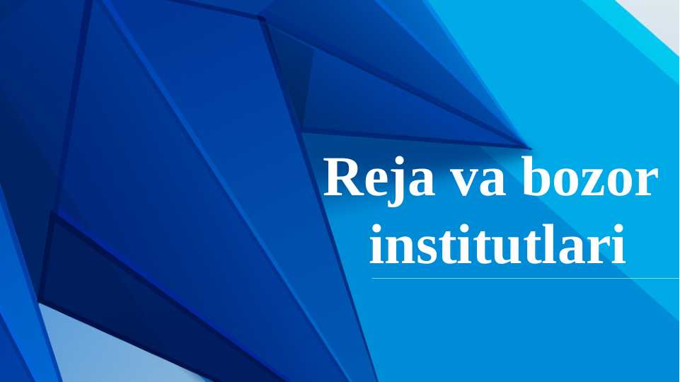 Reja va bozor institutlari