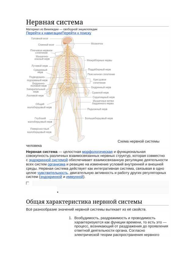 Нервная система