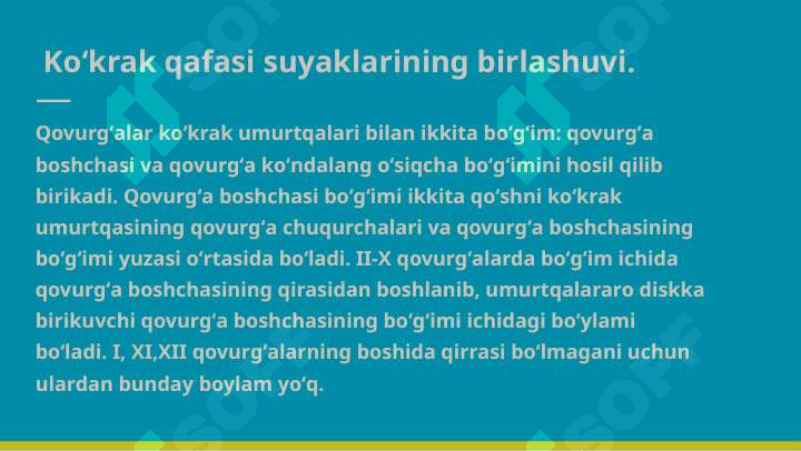 Rus qoshnilar porno rasmlar