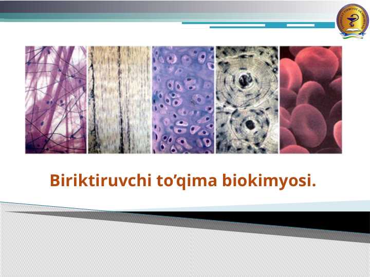 Biriktiruvchi to’qima biokimyosi