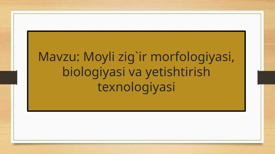 Moyli zig`ir morfologiyasi, biologiyasi va yetishtirish texnologiyasi