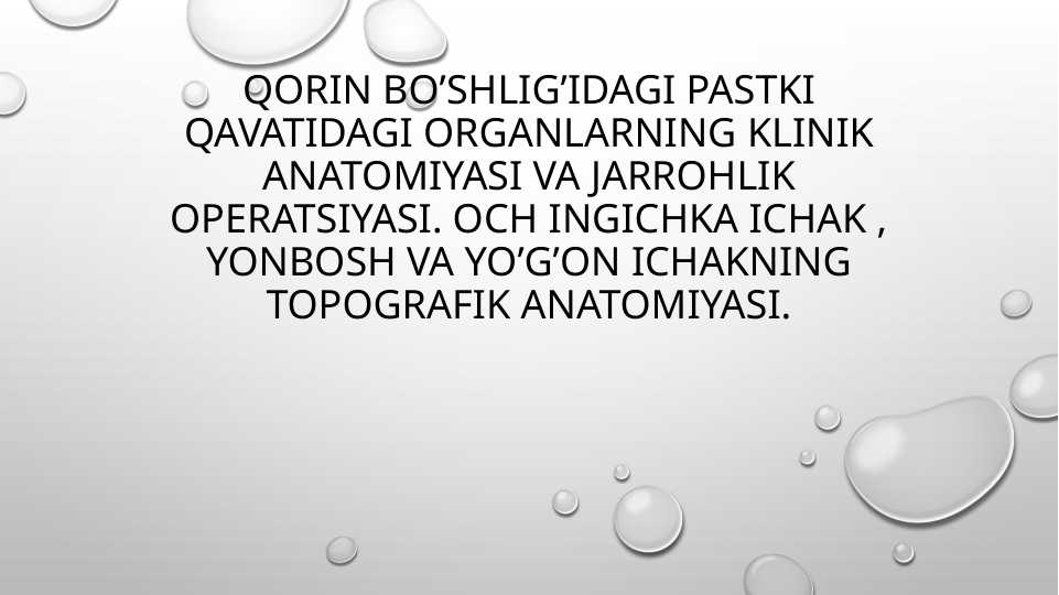 Qorin bo’shlig’idagi pastki qavatidagi organlarning klinik anatomiyasi ...
