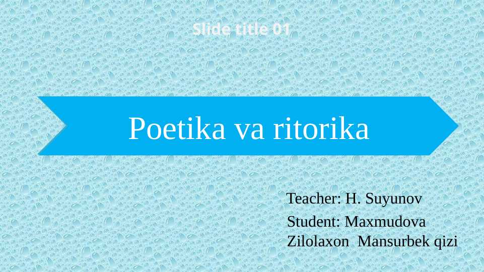 Poetika va Ritorika