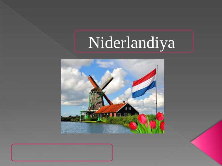 Niderlandiya