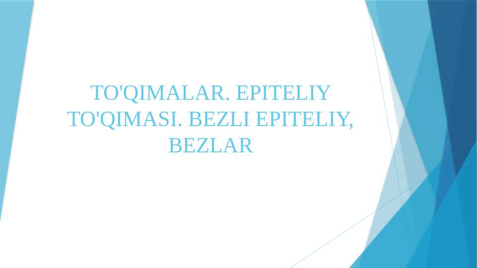TO'QIMALAR. EPITELIY TO'QIMASI. BEZLI EPITELIY, BEZLAR