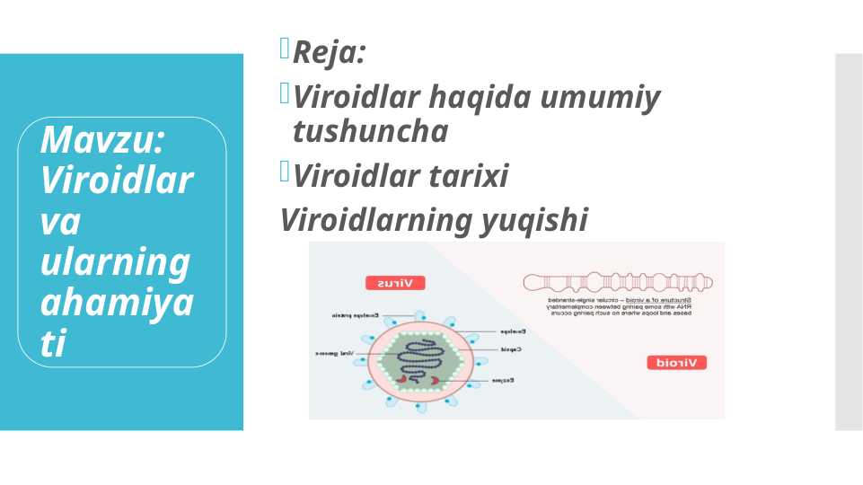 Juda yosh qizlar bilan jinsiy aloqa