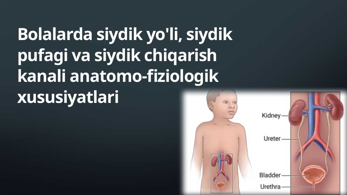 Chodirda yalangoch fotosuratlar