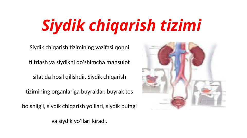 Porno zindonda men boraman gozallik