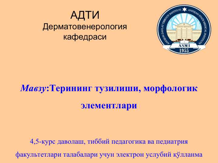 Терининг тузилиши, морфологик элементлари - Terining tuzilishi, morfologik elementlari