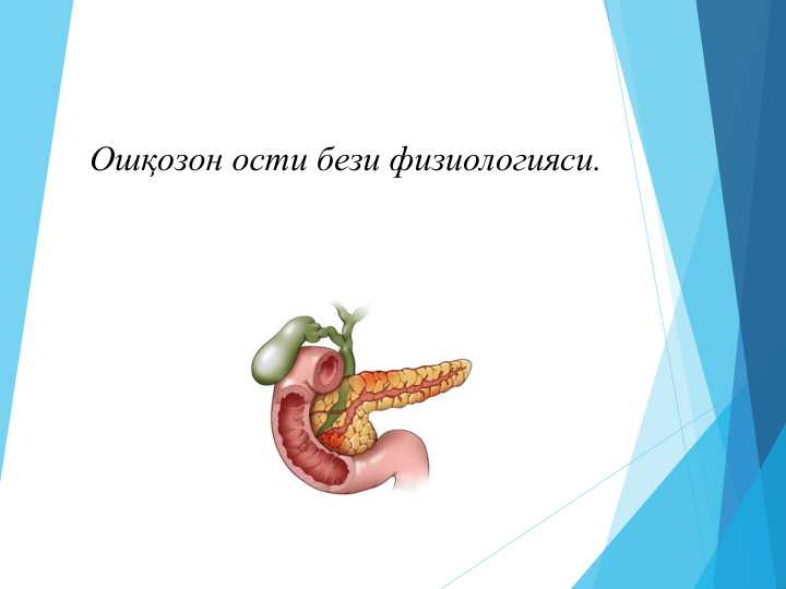 Ошқозон ости бези физиологияси