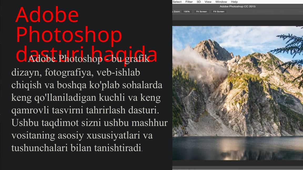 adobe animate dasturi haqida