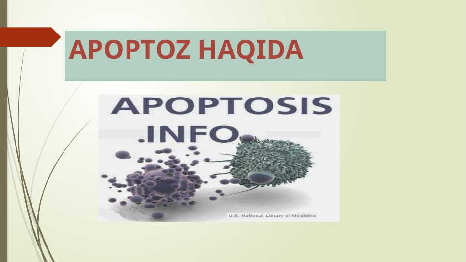 Apoptoz haqida