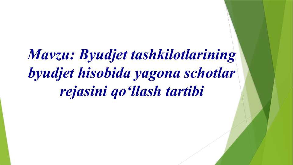 Byudjet tashkilotlarining byudjet hisobida yagona schotlar rejasini qo‘llash tartibi