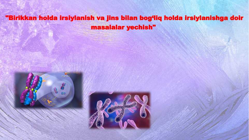 Porno yulduzlar eng yaxshi anal