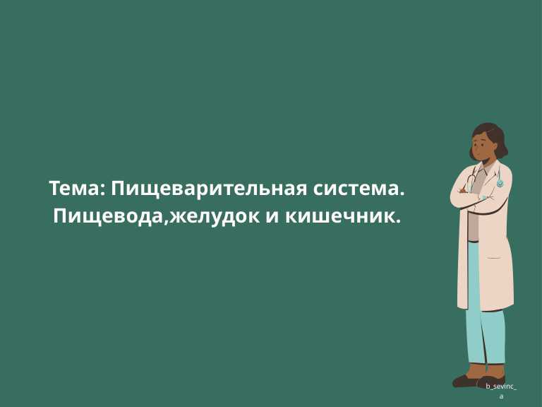 Пищеварительная система. Пищевода,желудок и кишечник.