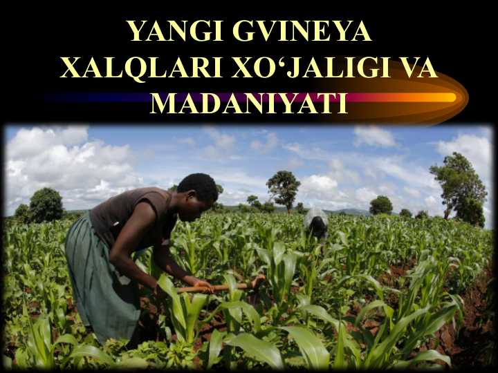 Yangi Gvineya xalqlari xo‘jaligi va madaniyati 25