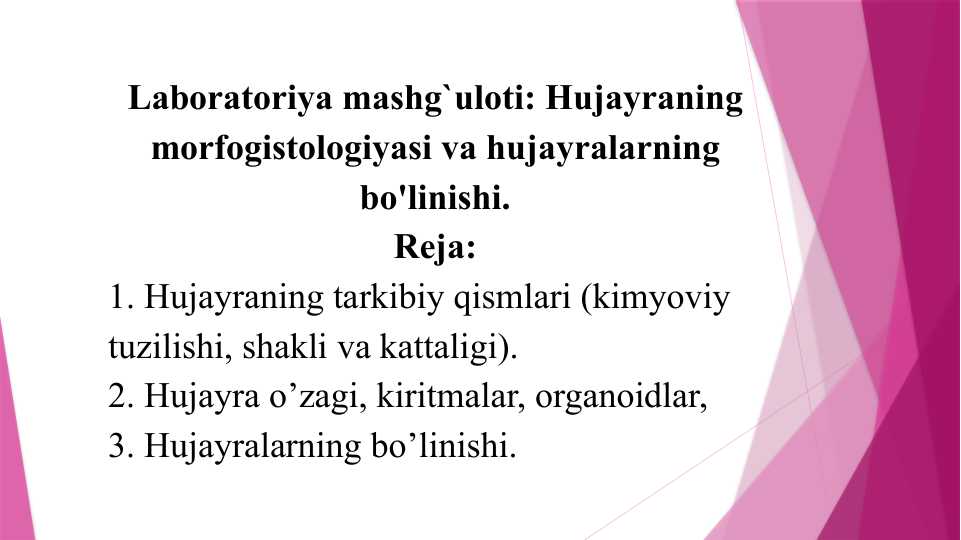 hujjat