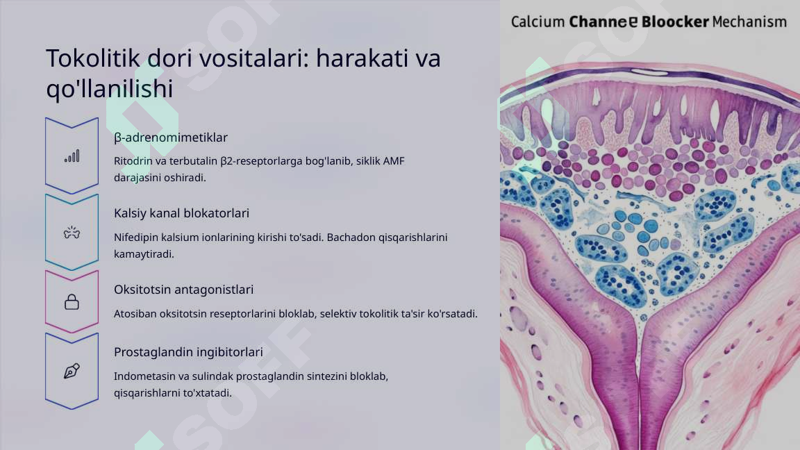 Chiroyli ichki kiyim erotik fotosurat