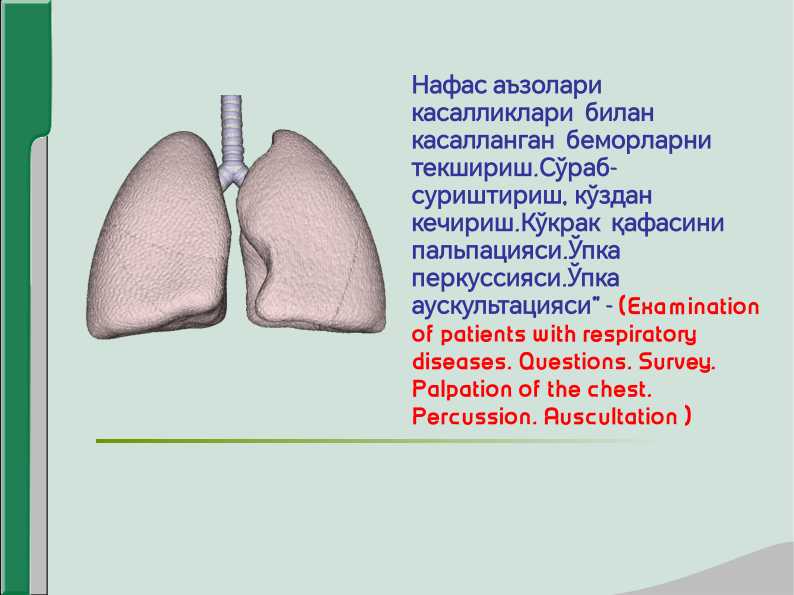 Bir yigit ozini belbog bilan sikayapti