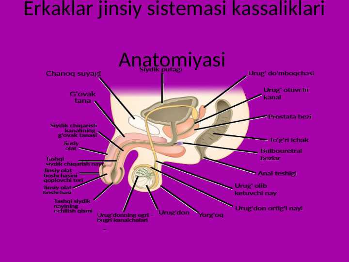 Xotini bilan birinchi guruh jinsiy aloqa tajribasi: shaxsiy holatlar Men onanizm qilishni xohlamayman