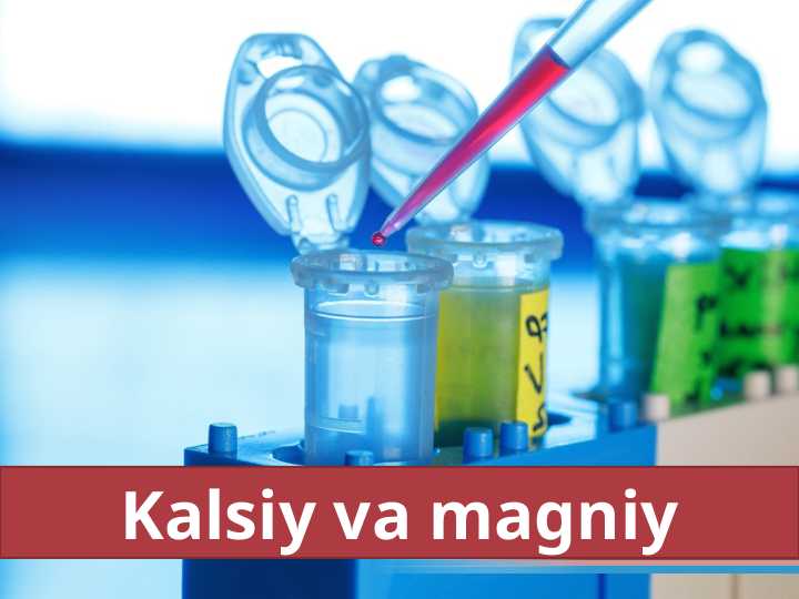 Kalsiy va magniy