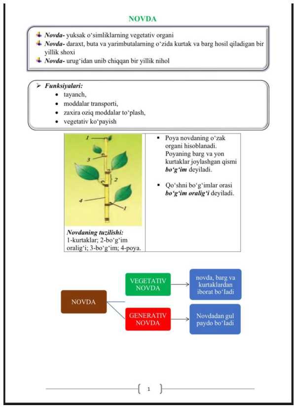 card img
