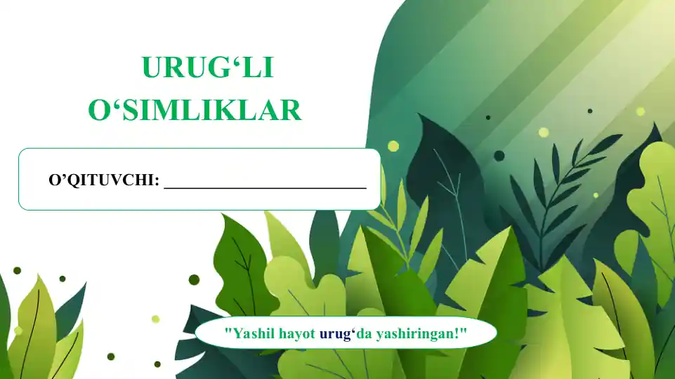 card img
