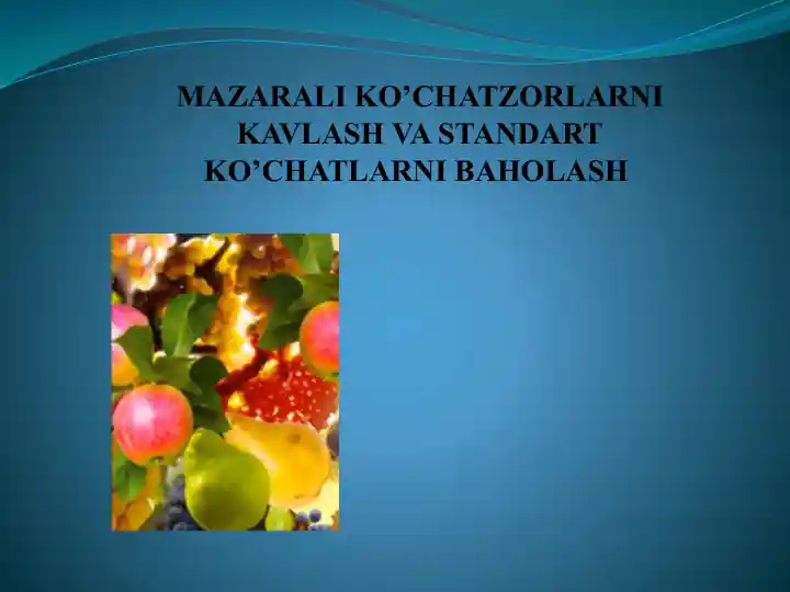 card img