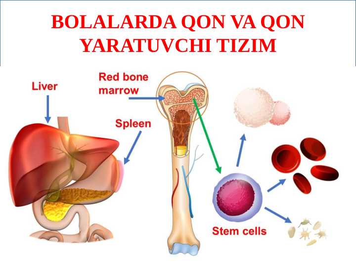 Madagaskar jinsiy aloqa
