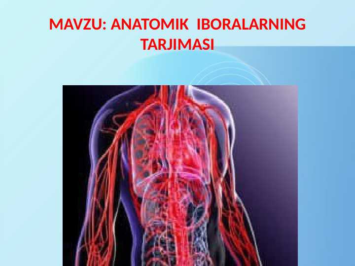ANATOMIK IBORALARNING TARJIMASI