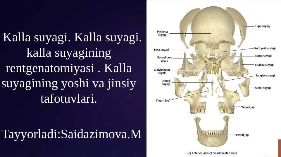 Virtual jinsiy aloqa va fantaziyalar Mahalliy erotik filmlar