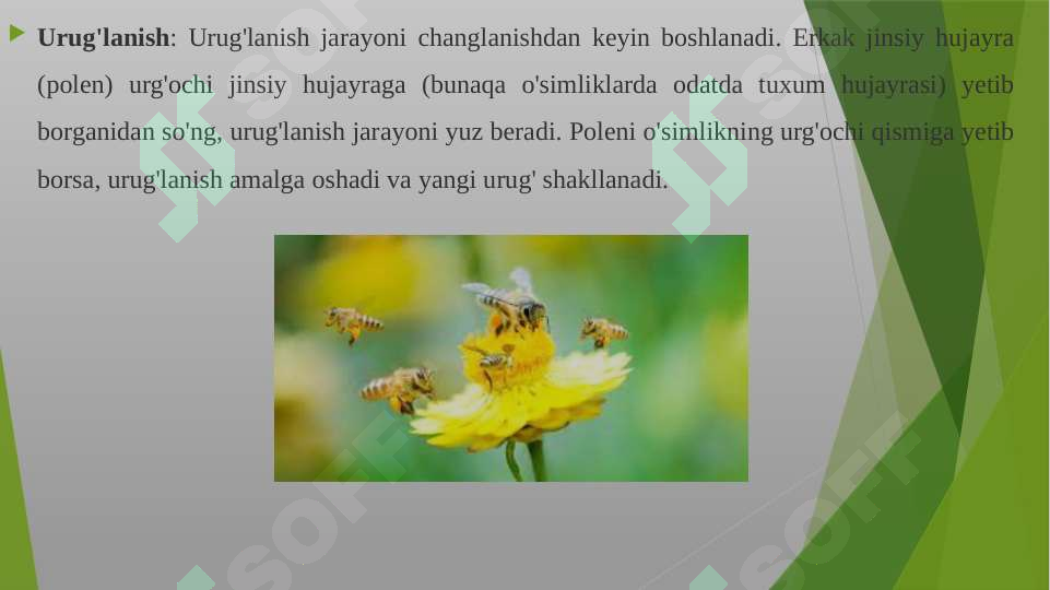 Porno vibrator Paypoq va gartersdagi etuk ayollar porno videolar