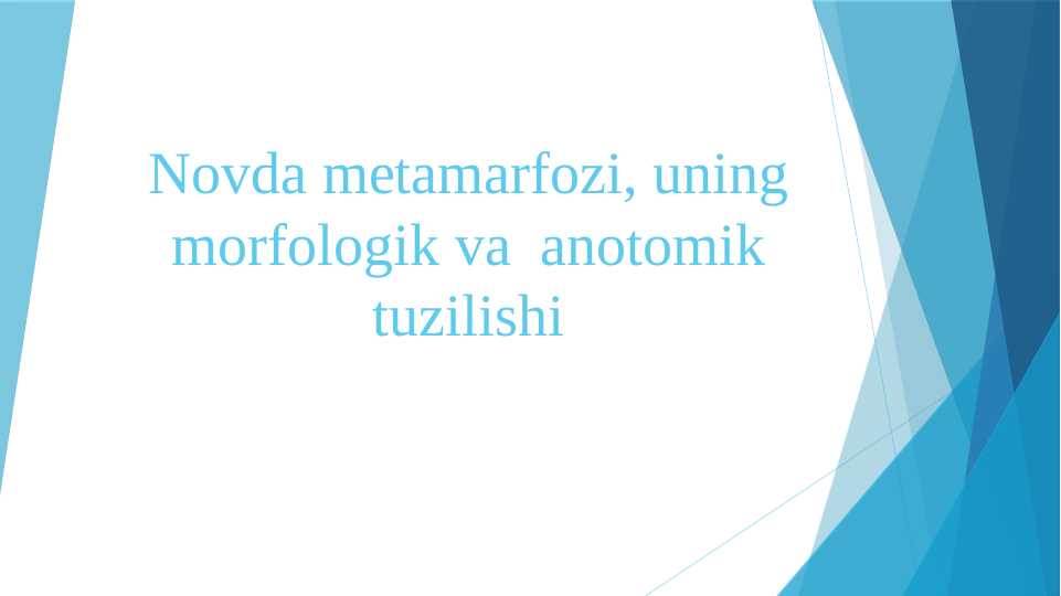 Novda metamarfozi, uning morfologik va anotomik tuzilishi